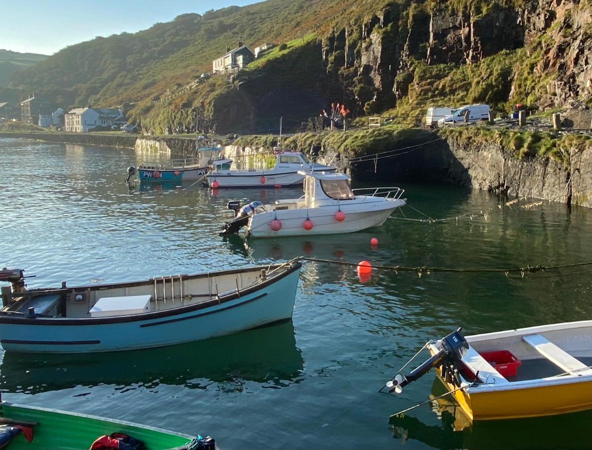 Polrunny Farm Sloe Cottage With A Sea View Boscastle Exterior photo