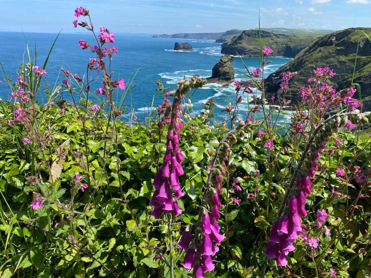 Polrunny Farm Sloe Cottage With A Sea View Boscastle Exterior photo