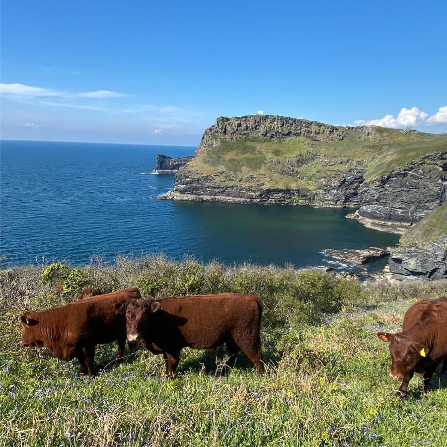 Polrunny Farm Sloe Cottage With A Sea View Boscastle Exterior photo