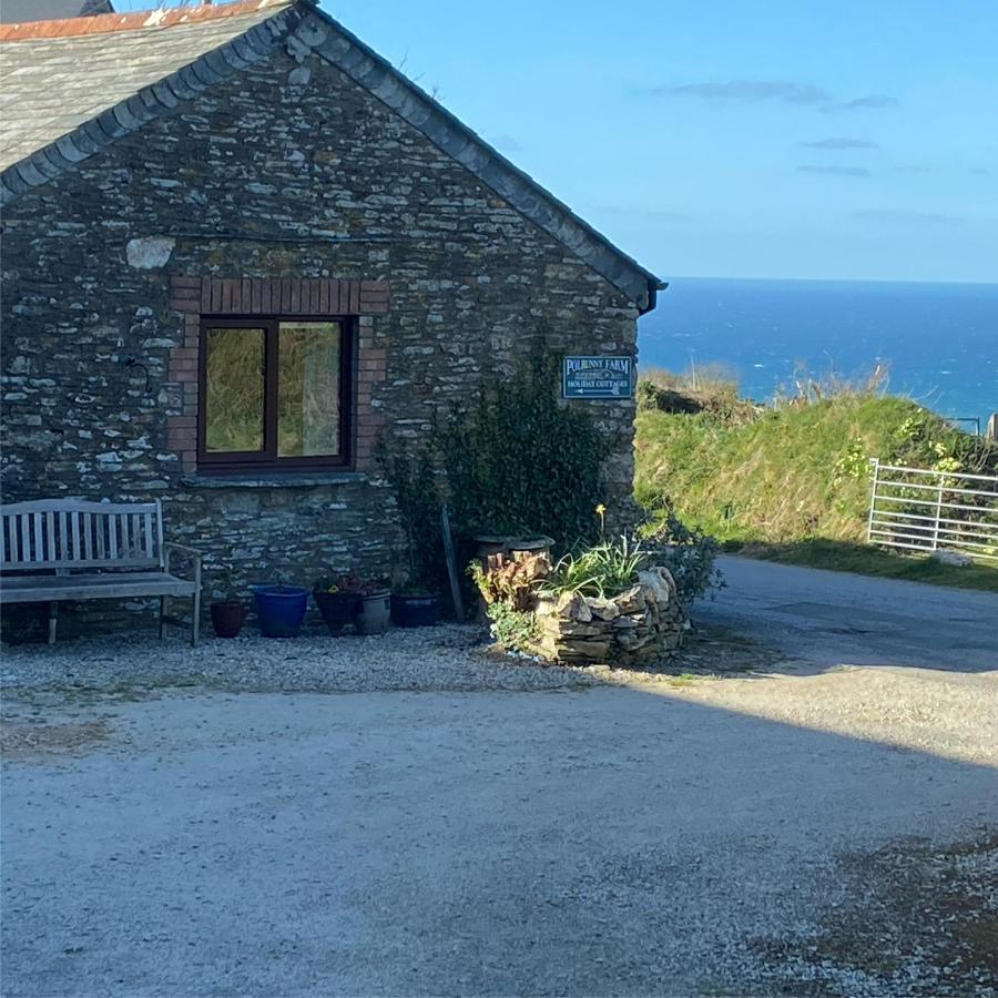 Polrunny Farm Sloe Cottage With A Sea View Boscastle Exterior photo