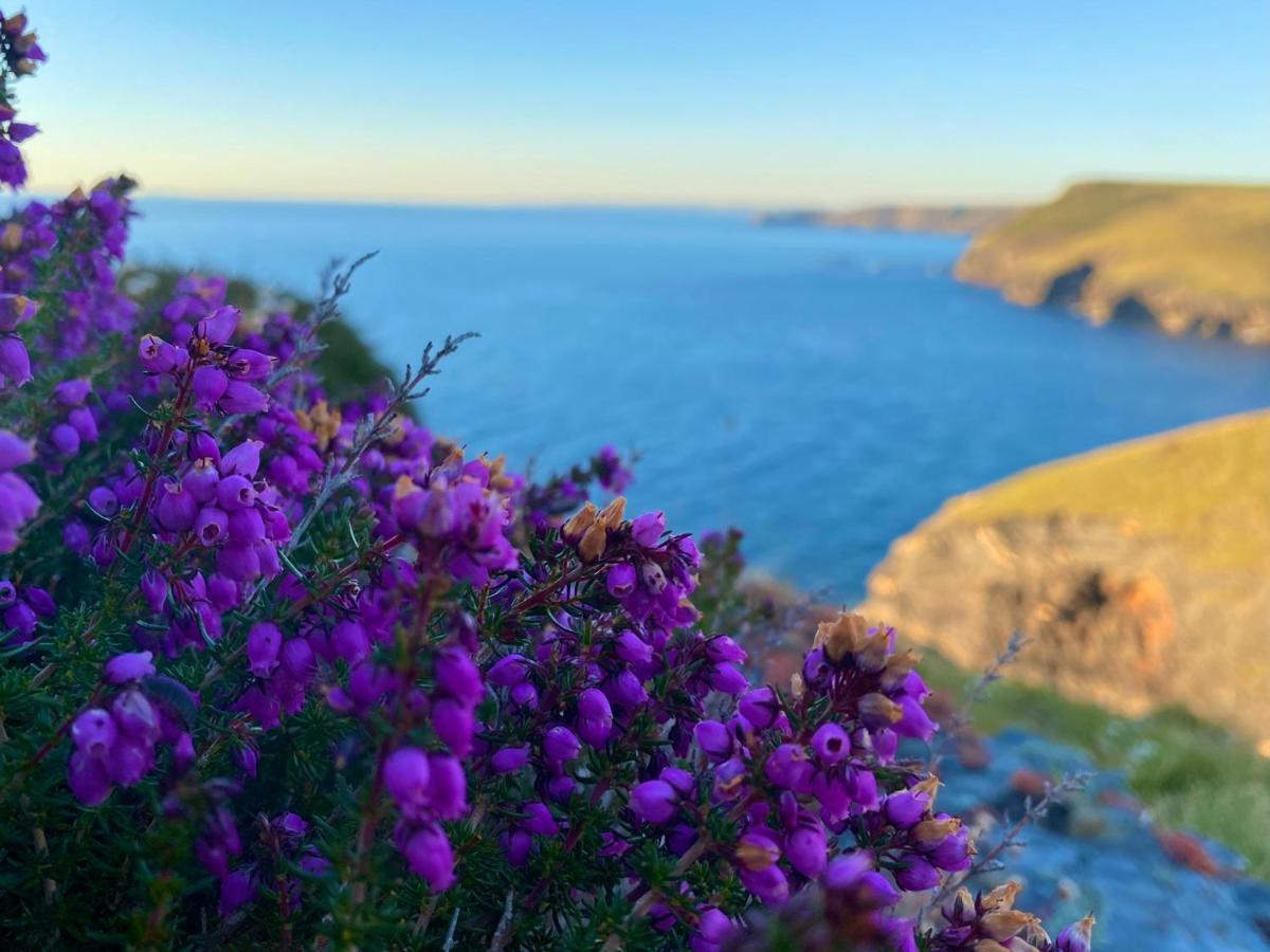 Polrunny Farm Sloe Cottage With A Sea View Boscastle Exterior photo