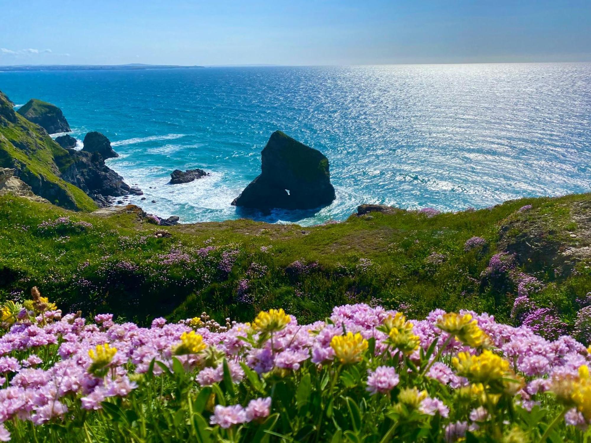Polrunny Farm Sloe Cottage With A Sea View Boscastle Exterior photo